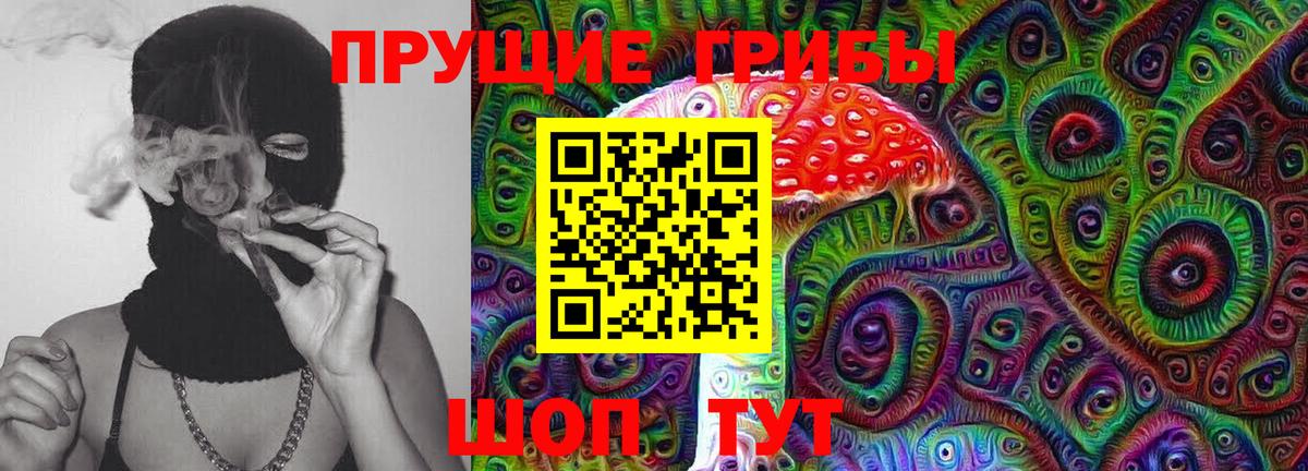 Псилоцибиновые грибы мухоморы  Вход с VPN  Ставрополь 