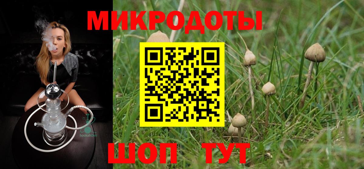Галлюциногенные грибы Magic Shrooms Ставрополь